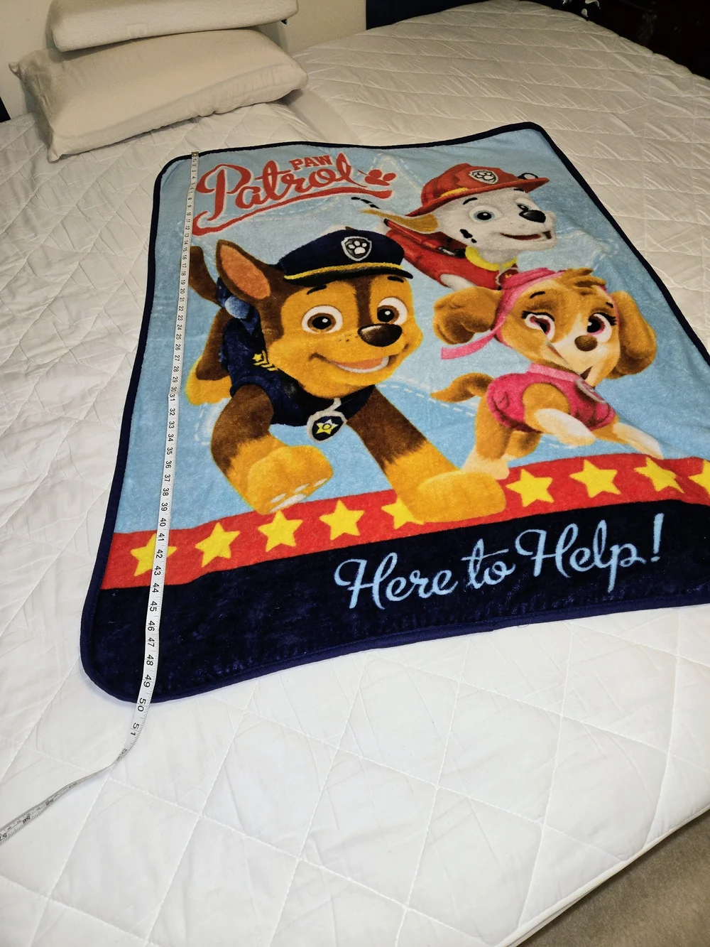 Nickleodeon PAW Patrol Kids Plush Throw Blanket - Here To Help
